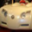 CIFAR-10 test image 4476: automobile misclassified as dog
